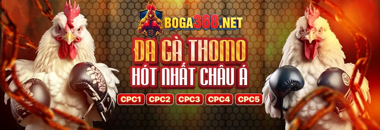 Các chương trình khuyến mãi và ưu đãi tại K8VN