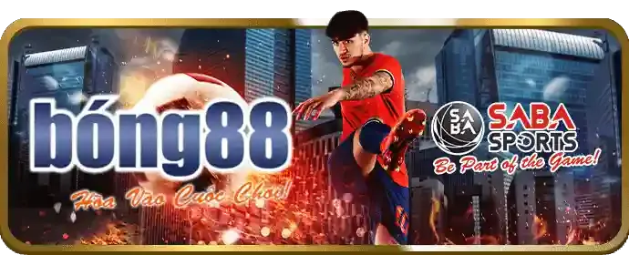 Hình ảnh giới thiệu về sự uy tín và đáng tin cậy của k8vn chính thức